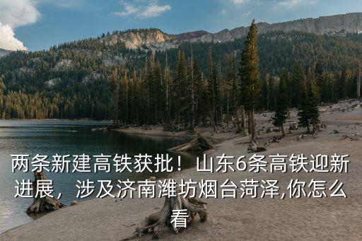 兩條新建高鐵獲批！山東6條高鐵迎新進展，涉及濟南濰坊煙臺菏澤,你怎么看