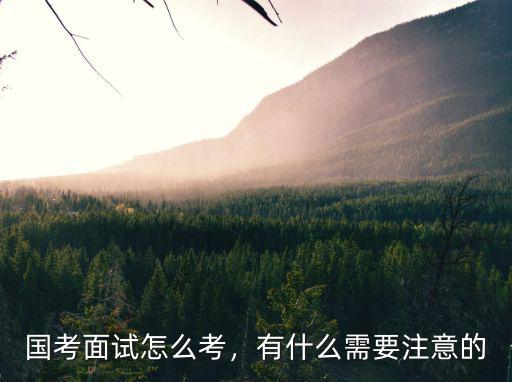 2021國考寧波海關多少分進面試,國考面試怎么考