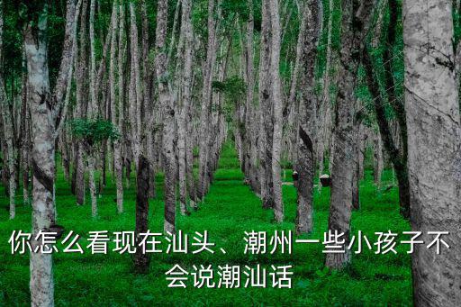 潮州話和汕頭話怎么說,汕頭話和揭陽話有什么區(qū)別