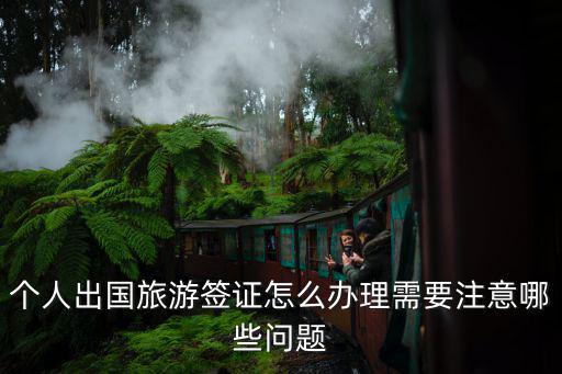 個人出國旅游簽證怎么辦理需要注意哪些問題