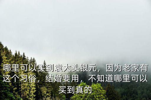 深圳哪里有鑒定袁大頭,袁大頭怎么在網(wǎng)上鑒定