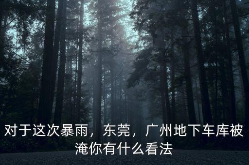 廣州有多少小區地下車庫被淹,廣州地下車庫被淹