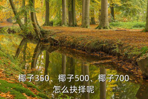 椰子500深圳最新價格多少,椰子700怎么抉擇呢