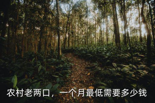 農村老兩口，一個月最低需要多少錢