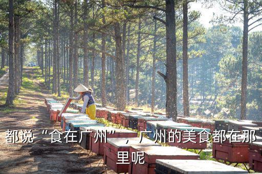都說“食在廣州”，廣州的美食都在那里呢