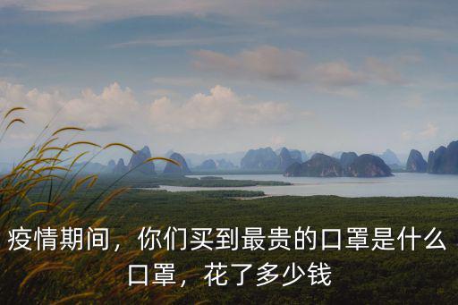 青島順豐口罩多少錢,你買口罩花多少錢