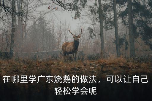 廣東哪里有學做燒鵝的,在哪里學廣東燒鵝的做法