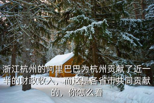 浙江杭州的阿里巴巴為杭州貢獻了近一半的財政收入，而這是各省市共同貢獻的，你怎么看