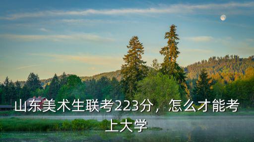 山東美術聯考好考嗎過線率多少,山東美術生聯考223分