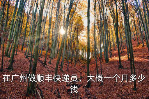廣州市橋快遞電話多少錢一個月,快遞員送一份快遞能掙幾塊錢