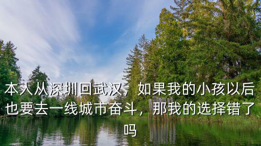 本人從深圳回武漢，如果我的小孩以后也要去一線城市奮斗，那我的選擇錯了嗎
