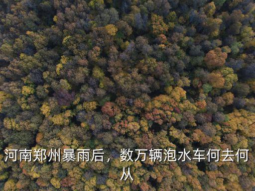 廣州泡水車多少輛,廣州水浸車后如何處理