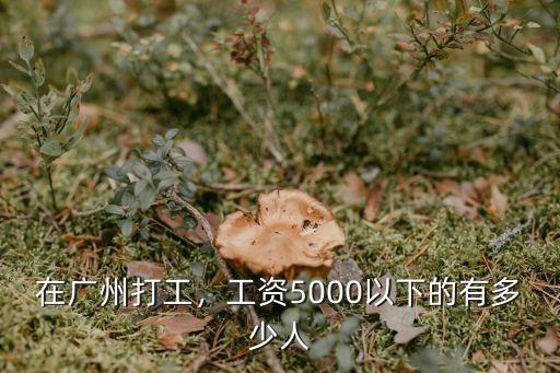 在廣州打工，工資5000以下的有多少人