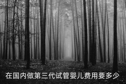 麗水市做試管嬰兒要多少錢,做試管嬰兒要多少錢