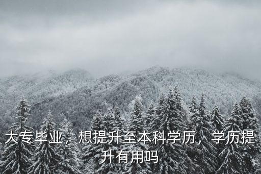 大專畢業，想提升至本科學歷，學歷提升有用嗎