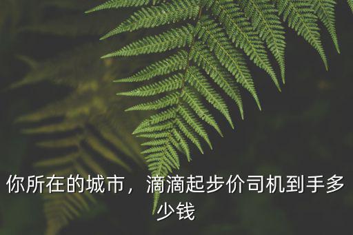 你所在的城市，滴滴起步價司機到手多少錢