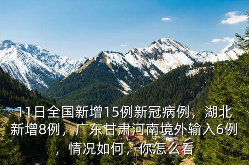 15號廣東新增多少病例,廣東每天都在新增本土病例