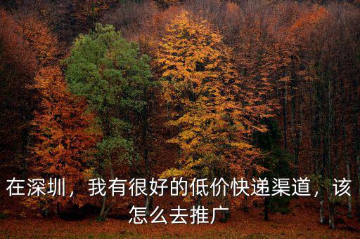在深圳，我有很好的低價快遞渠道，該怎么去推廣