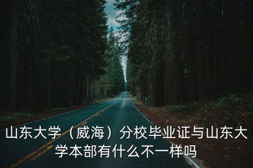 山東大學（威海）分校畢業證與山東大學本部有什么不一樣嗎