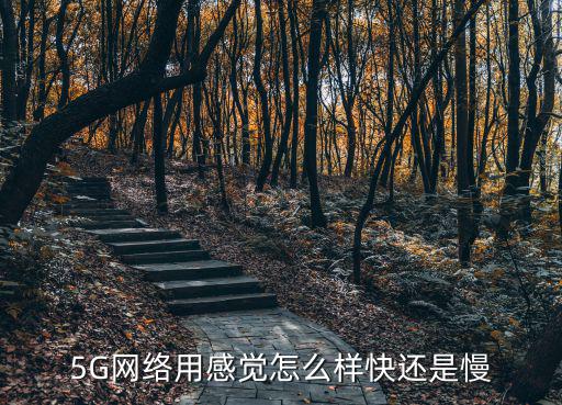 深圳快起步網絡怎么樣,在深圳市跑網約車怎么樣
