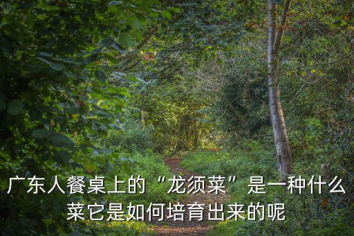 廣東人吃的大菜是哪里買的,廣東人最會吃的菜是什么