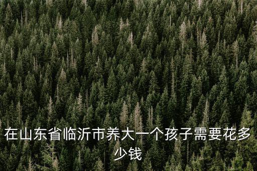 在山東省臨沂市養大一個孩子需要花多少錢