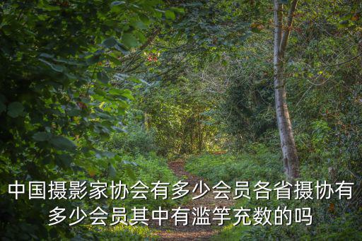 中國攝影家協會有多少會員各省攝協有多少會員其中有濫竽充數的嗎