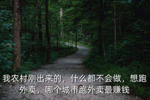 我農(nóng)村剛出來(lái)的，什么都不會(huì)做，想跑外賣，哪個(gè)城市跑外賣最賺錢