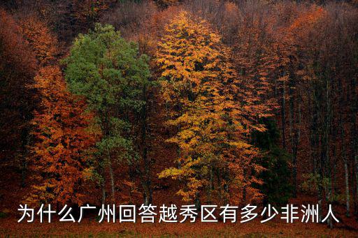 為什么廣州回答越秀區有多少非洲人