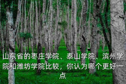 山東省的棗莊學(xué)院、泰山學(xué)院、濱州學(xué)院和濰坊學(xué)院比較，你認(rèn)為哪個(gè)更好一點(diǎn)