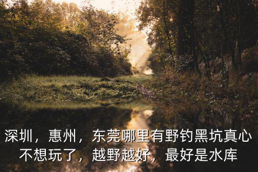 深圳，惠州，東莞哪里有野釣黑坑真心不想玩了，越野越好，最好是水庫(kù)