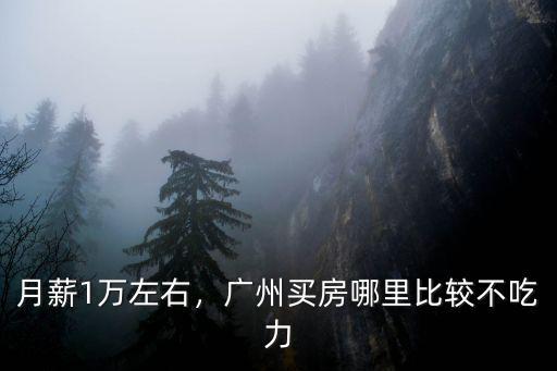 1萬首付廣州哪里買房,廣州買房哪里比較不吃力