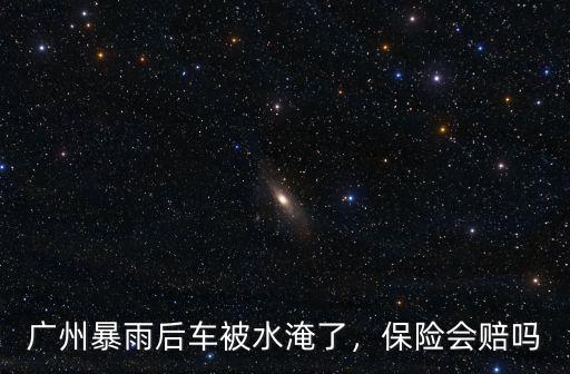 廣東暴雨泡了多少店,新聞上說廣東多地暴雨