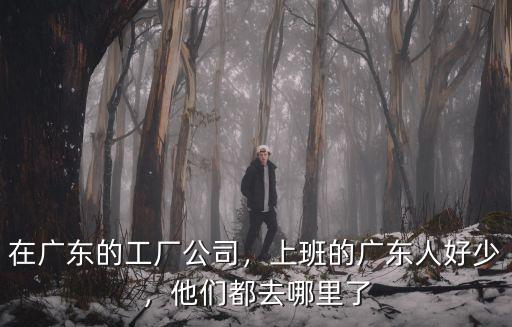 廣州的工廠怎么樣啊,我想去廣州找工廠的工作