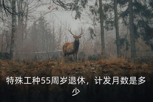 杭州特殊工種退休金多少,特殊工種55周歲退休