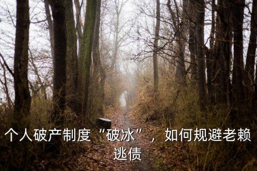 深圳破冰制度在哪里,《個人破產法》在深圳破冰