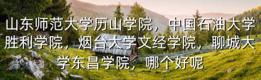 山東師范大學歷山學院，中國石油大學勝利學院，煙臺大學文經(jīng)學院，聊城大學東昌學院，哪個好呢