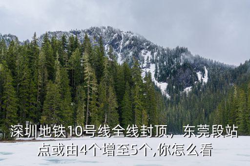 深圳地鐵10號線有多少個站,深圳地鐵10號線全線封頂