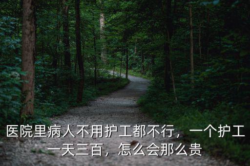 肇慶市醫院護工多少錢一天,護工一月多少錢