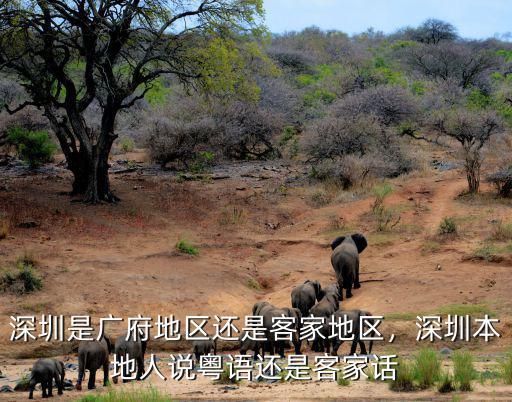 想去深圳粵語(yǔ)怎么說,深圳本地人說粵語(yǔ)還是客家話