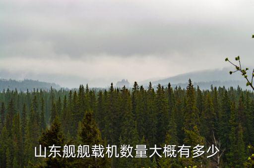 山東艦艦載機數量大概有多少