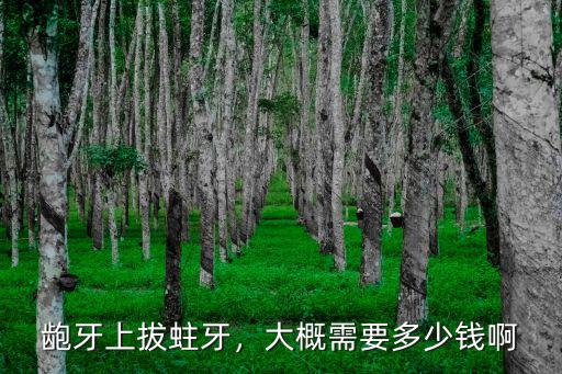 齙牙上拔蛀牙，大概需要多少錢啊