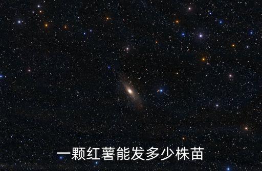 一顆紅薯能發(fā)多少株苗