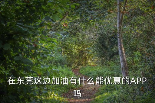 在東莞這邊加油有什么能優(yōu)惠的APP嗎