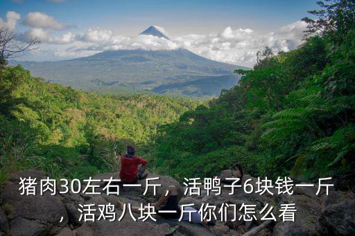 豬肉30左右一斤，活鴨子6塊錢一斤，活雞八塊一斤你們怎么看