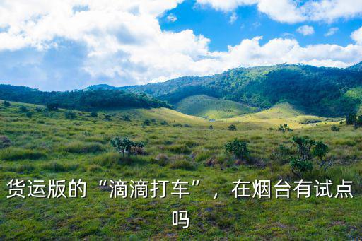 貨運版的“滴滴打車”，在煙臺有試點嗎