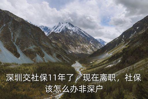 深圳辭工社保停交錢怎么辦,深圳交社保11年了