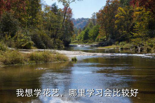 揭陽哪里有培訓花藝,插花培訓有哪些課程