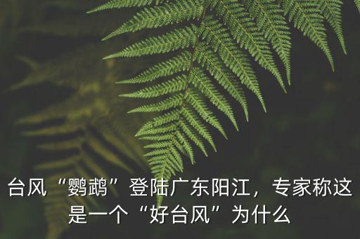 臺(tái)風(fēng)“鸚鵡”登陸廣東陽(yáng)江，專家稱這是一個(gè)“好臺(tái)風(fēng)”為什么