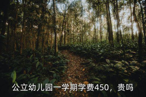 公立幼兒園一學(xué)期學(xué)費(fèi)450，貴嗎